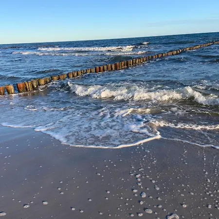 Wiesenblick Zingst